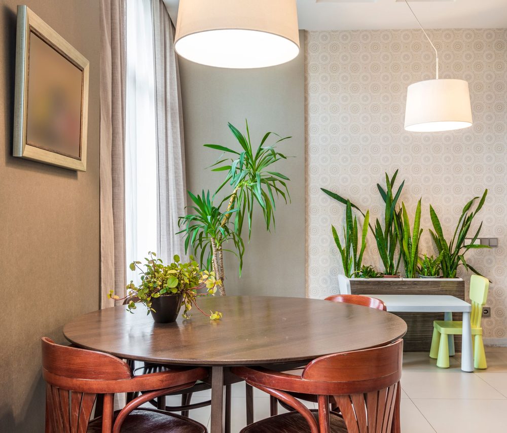 Dining nook with soft sage-toned wallpaper, greenery, and wood chairs